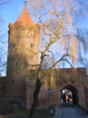 Burg zu Tangerm�nde